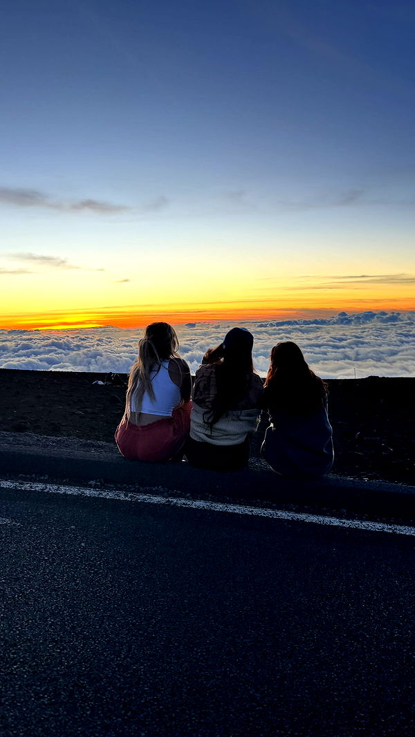 kkierstenking image ~ Altpins