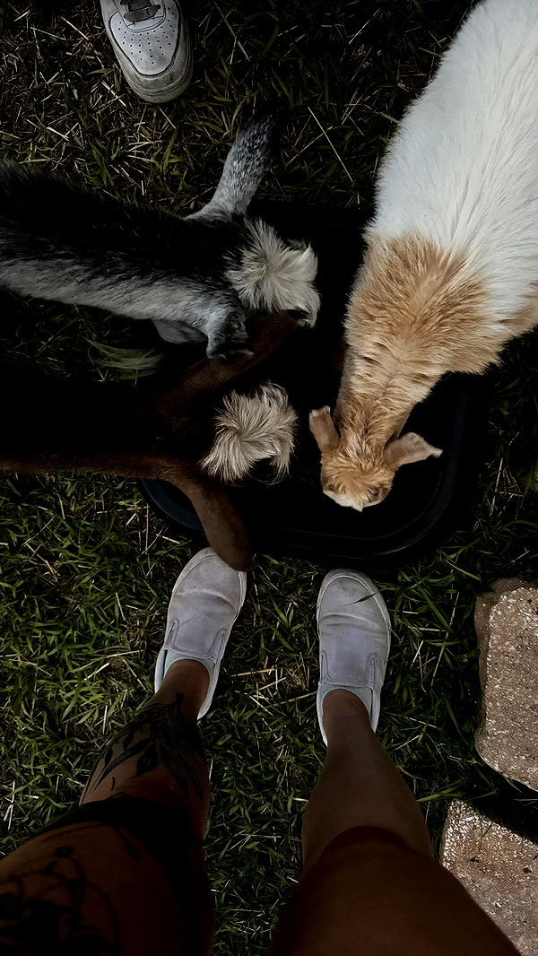 kkierstenking image ~ Altpins