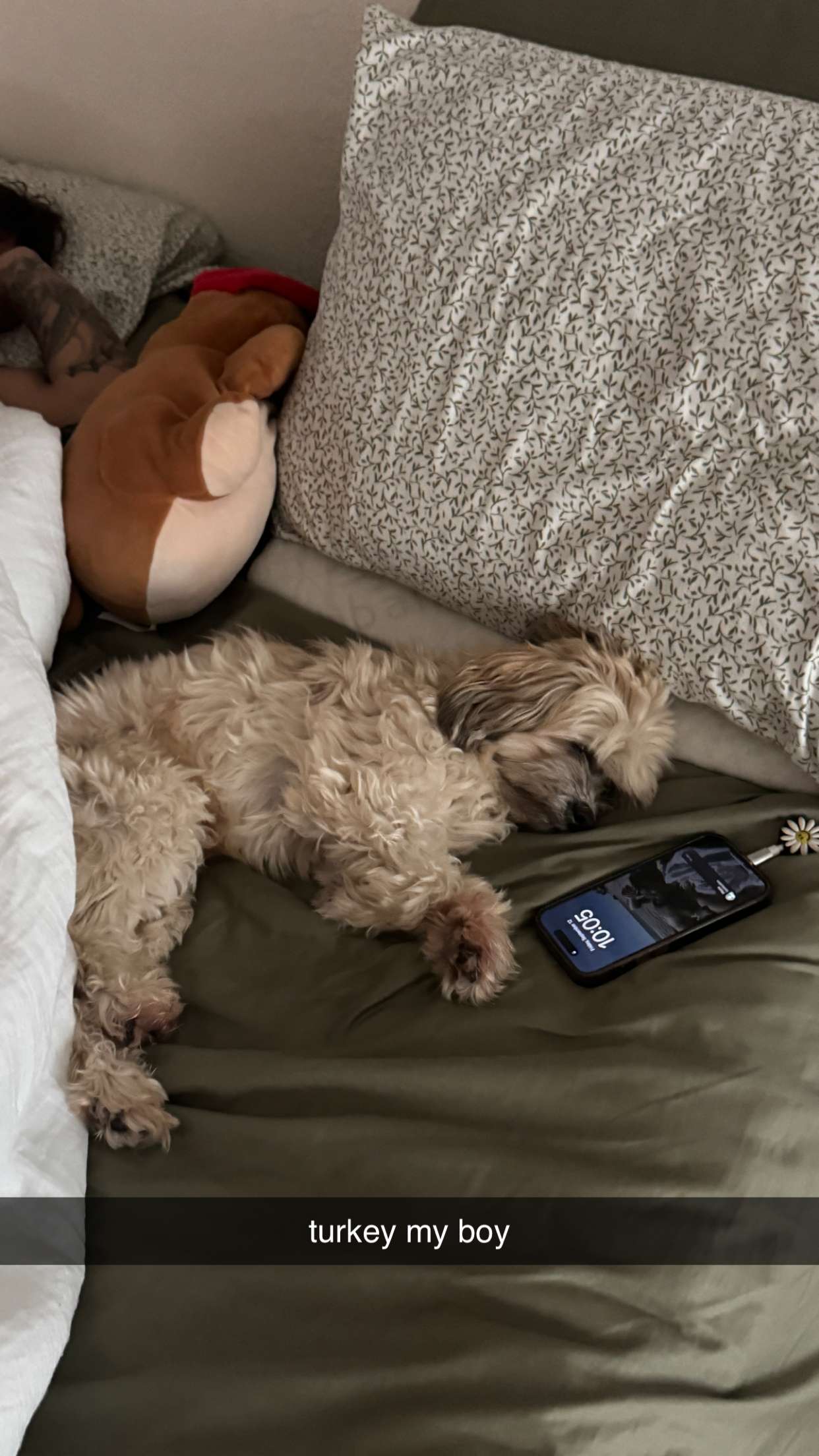 kkierstenking snapchat image archive image