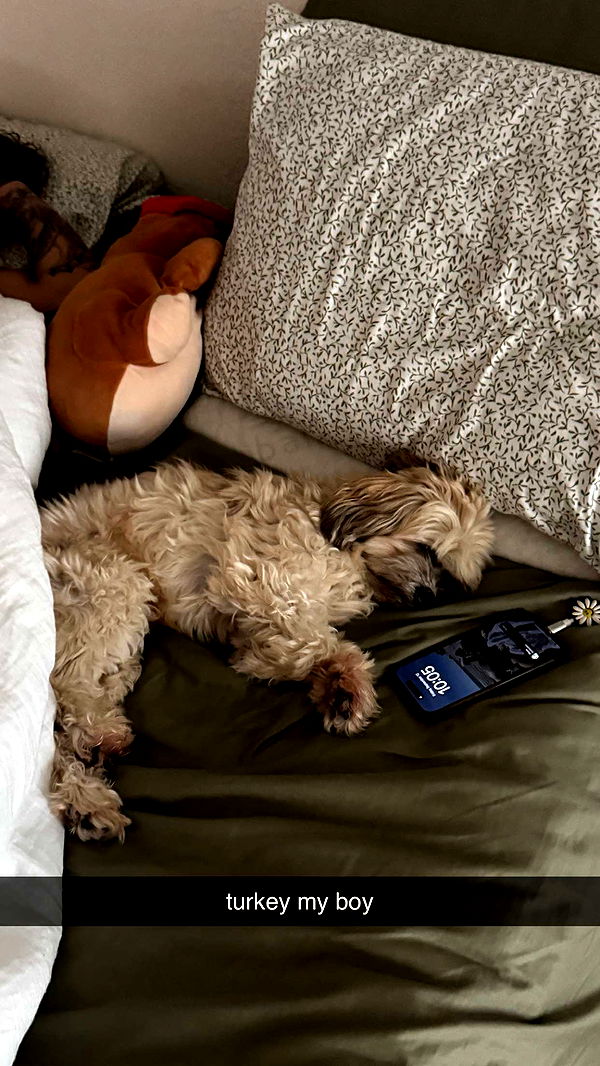 kkierstenking image ~ Altpins