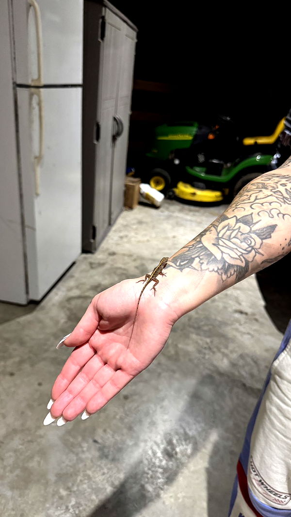 kkierstenking image ~ Altpins