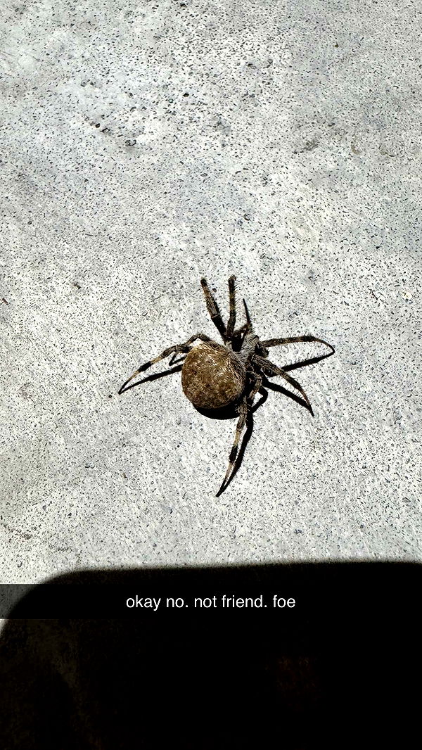 kkierstenking image ~ Altpins