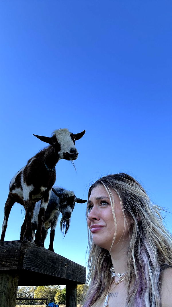 kkierstenking image ~ Altpins