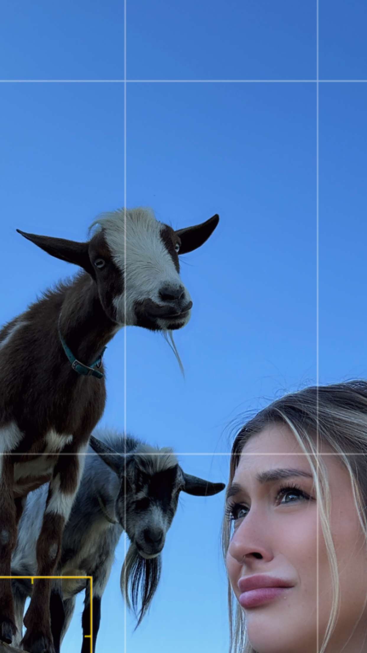 kkierstenking snapchat image archive image