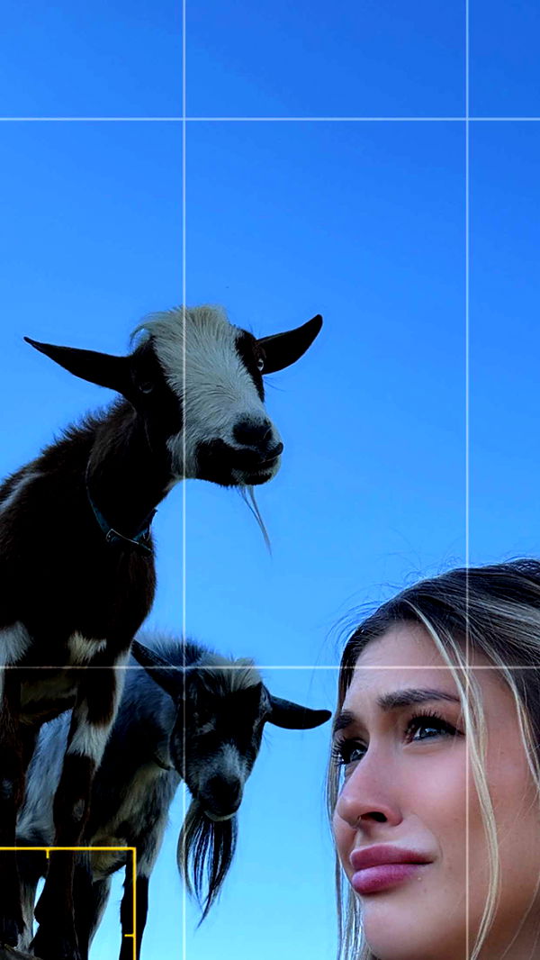 kkierstenking image ~ Altpins