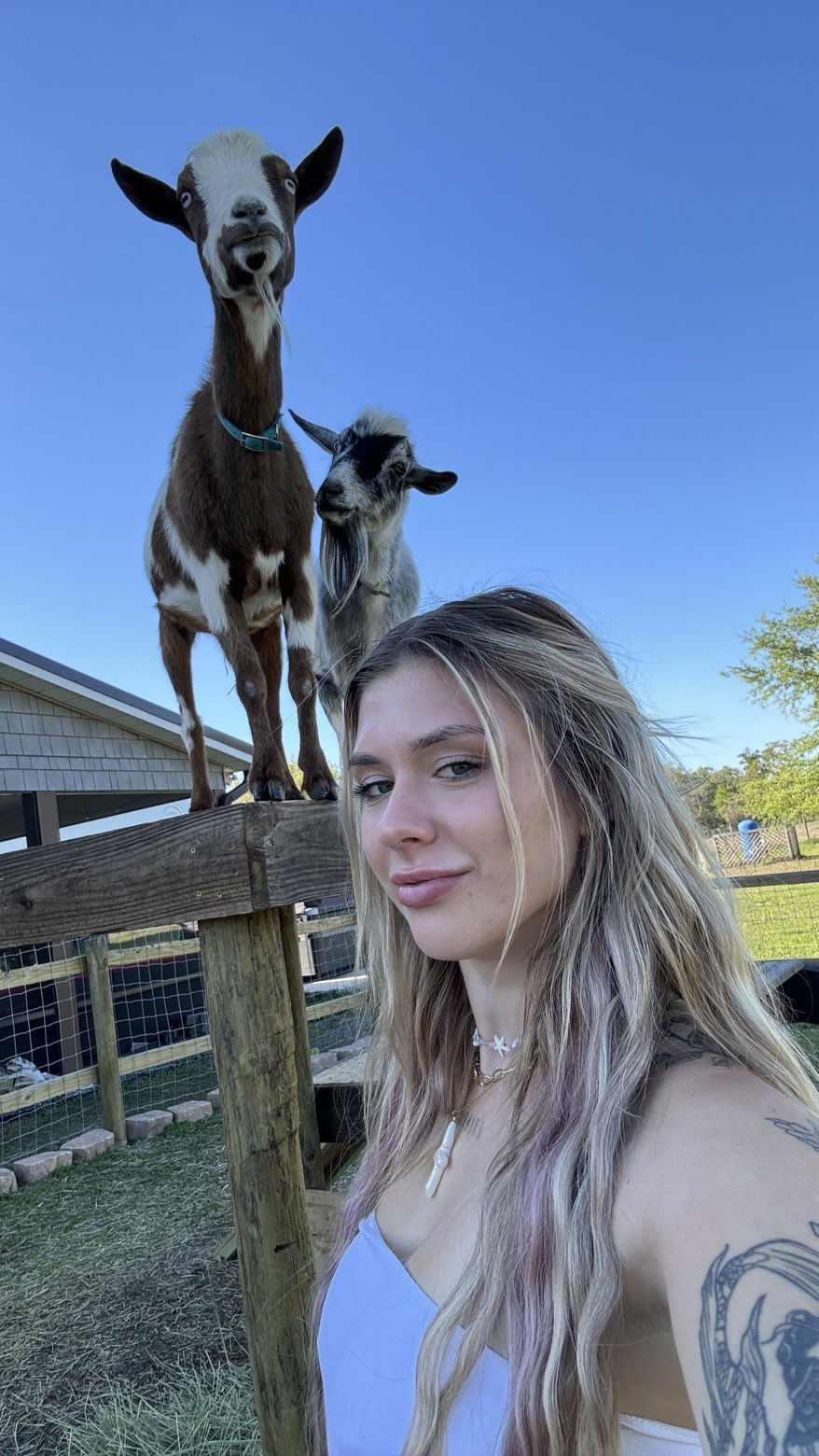 kkierstenking snapchat image archive image