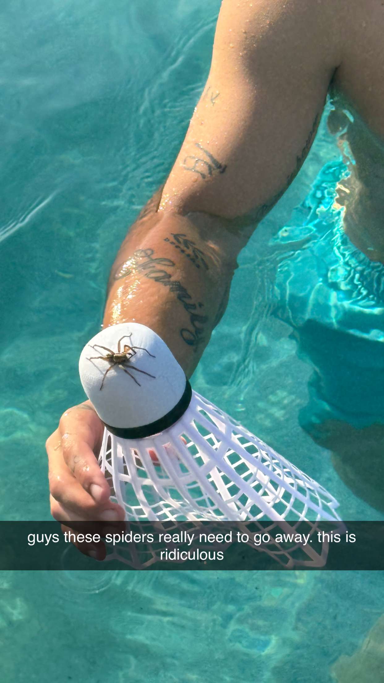 kkierstenking snapchat image archive image