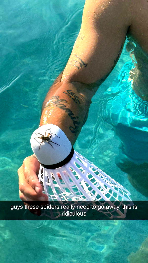 kkierstenking image ~ Altpins