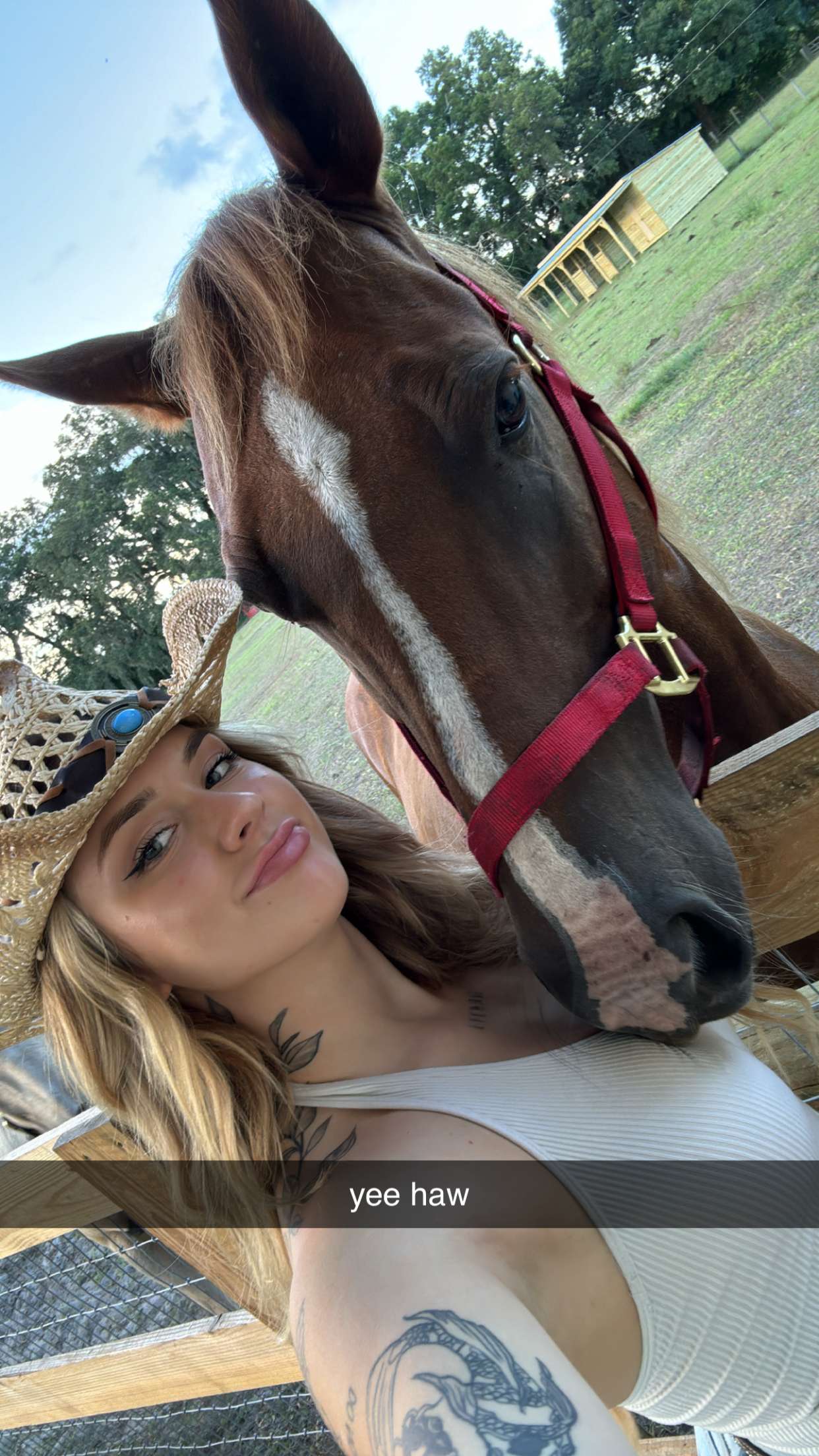 kkierstenking snapchat image archive image