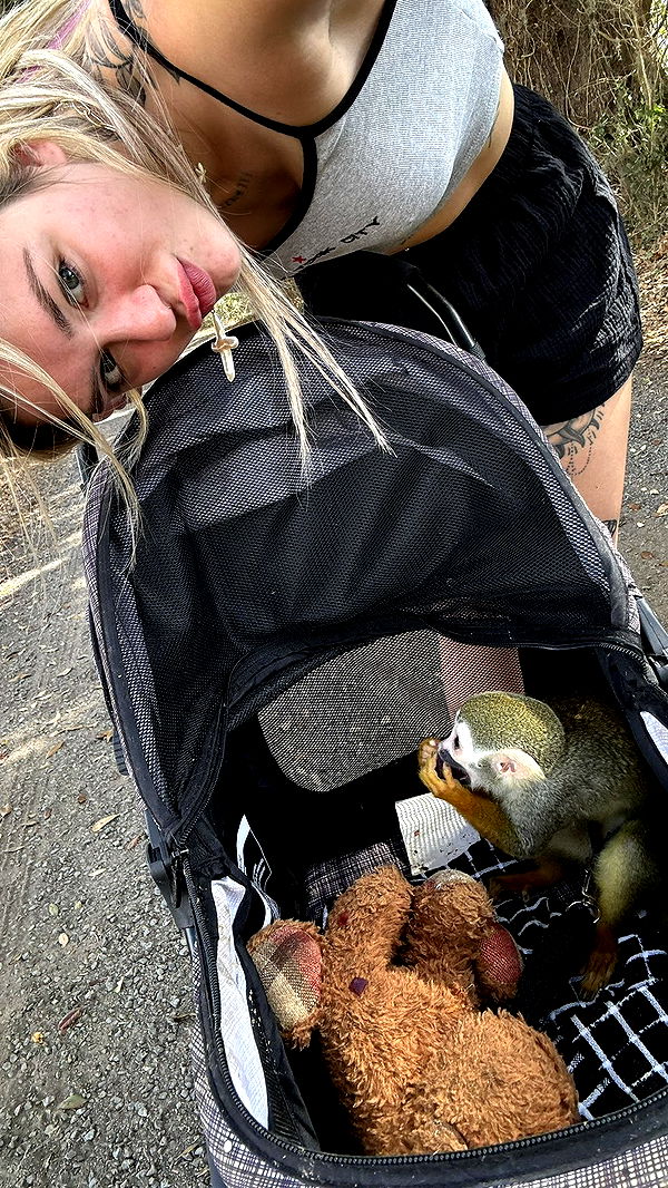 kkierstenking image ~ Altpins