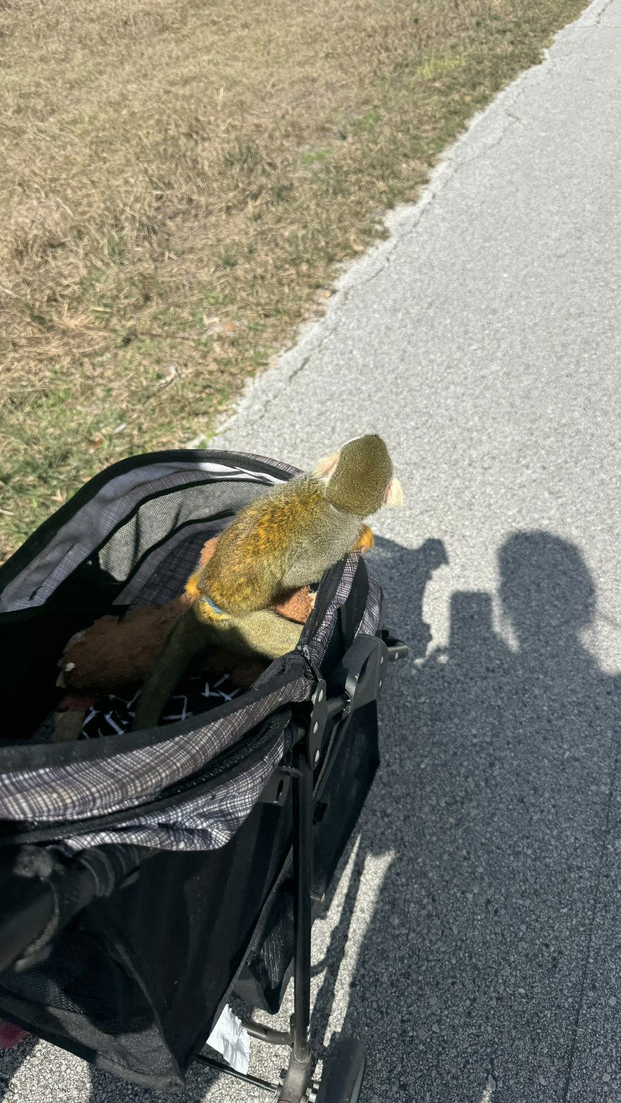 kkierstenking snapchat image archive image