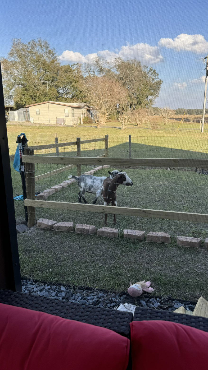 kkierstenking snapchat image archive image