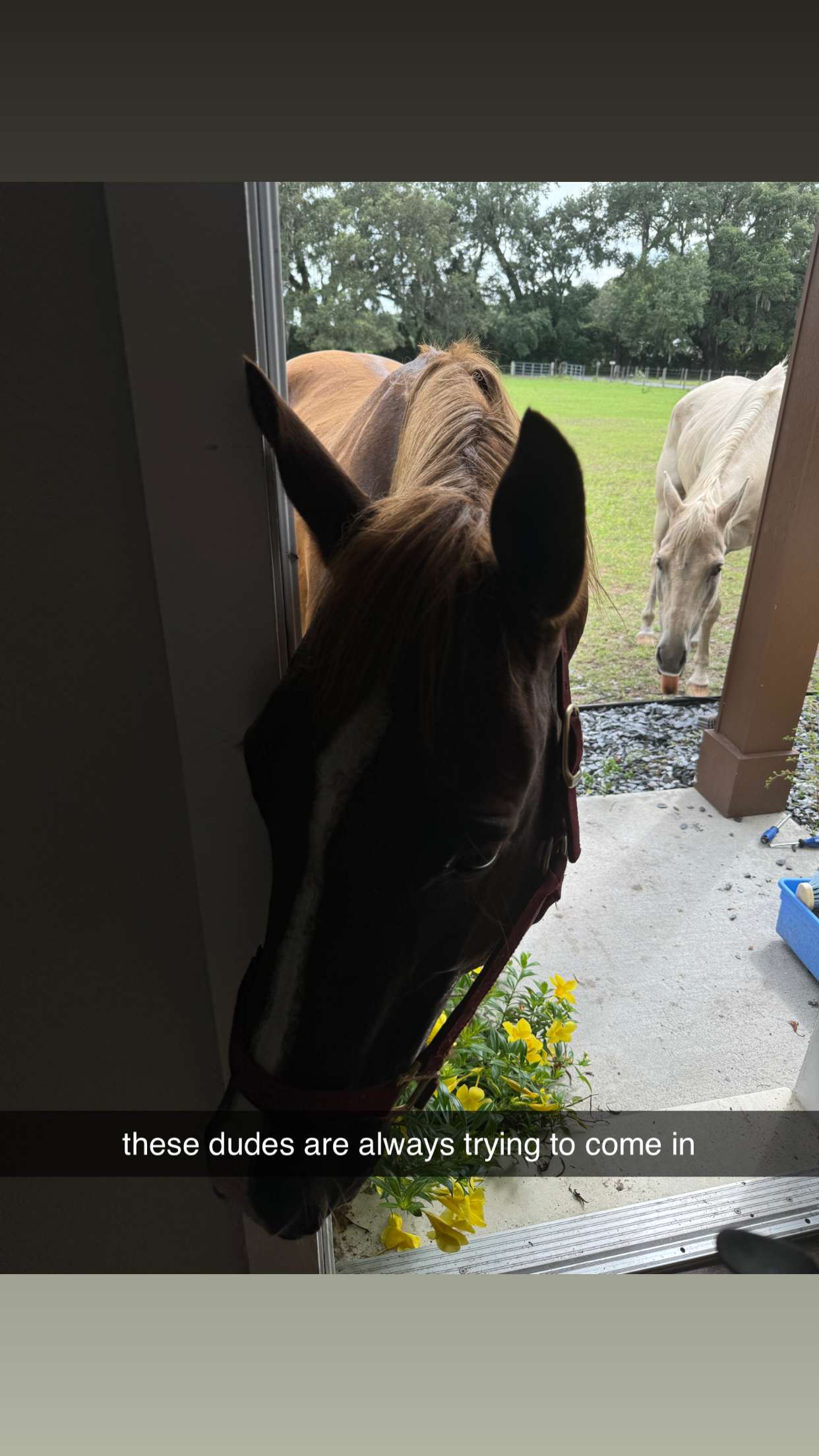 kkierstenking snapchat image archive image