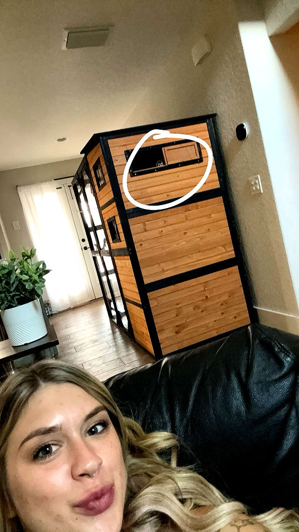 kkierstenking image ~ Altpins