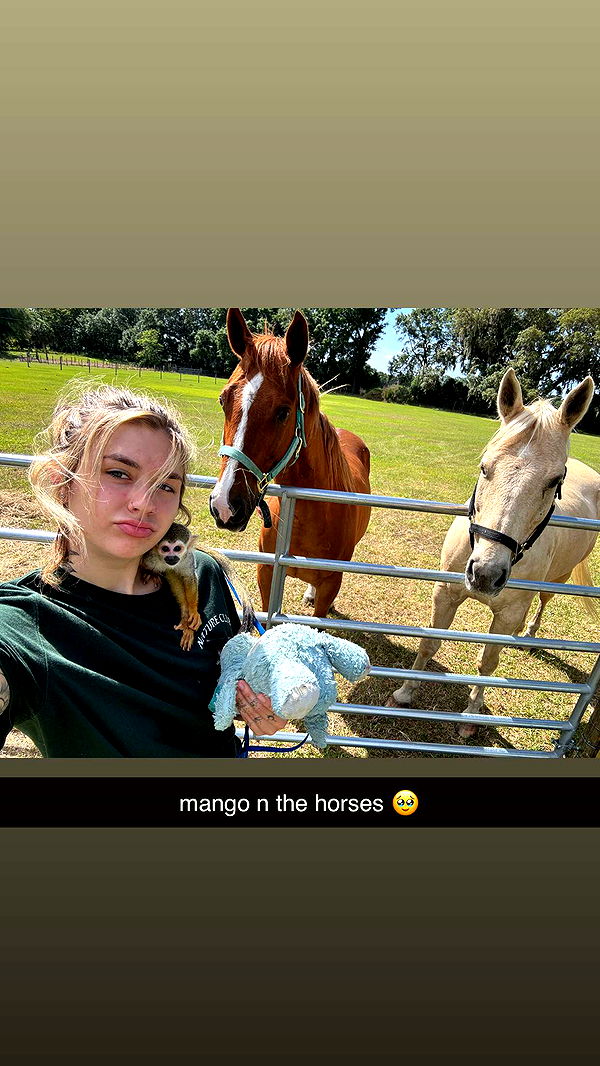 kkierstenking image ~ Altpins