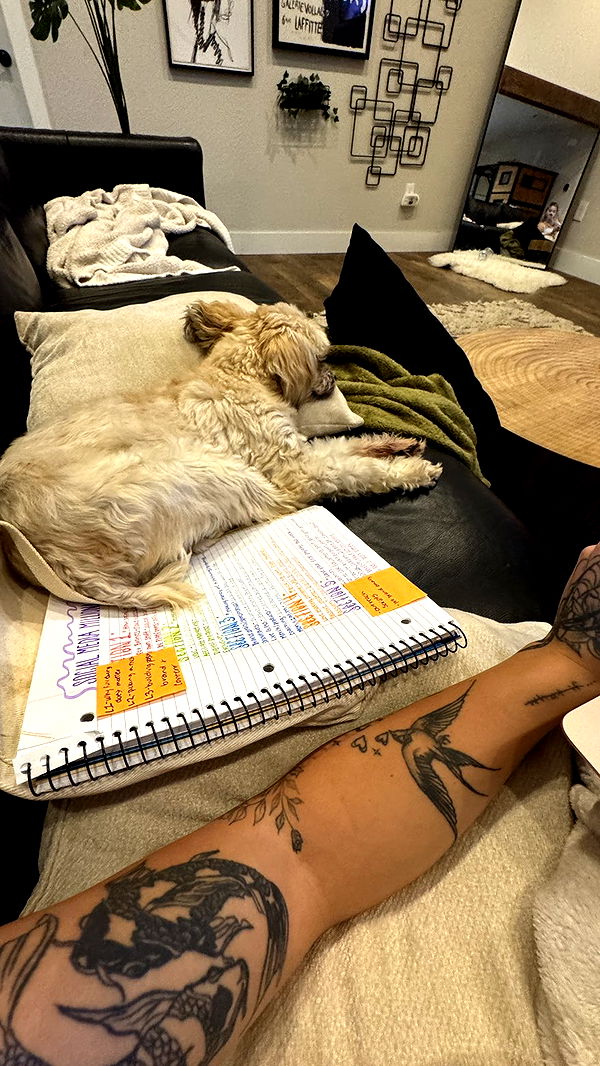 kkierstenking image ~ Altpins