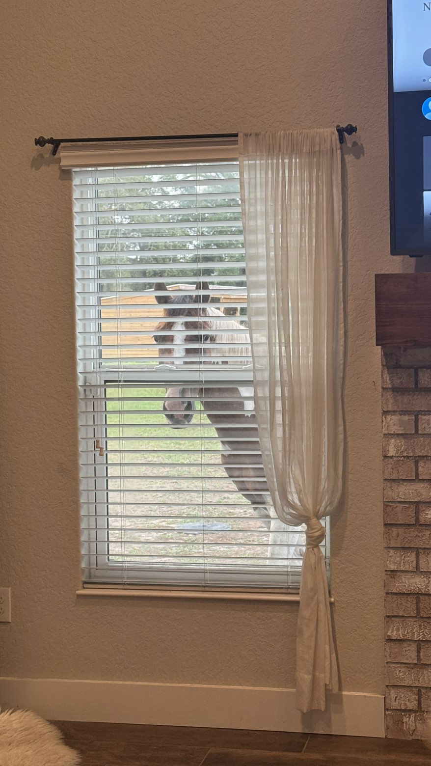 kkierstenking snapchat image archive image