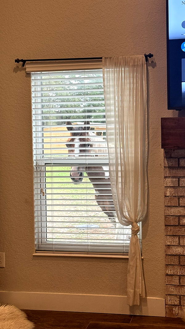 kkierstenking image ~ Altpins