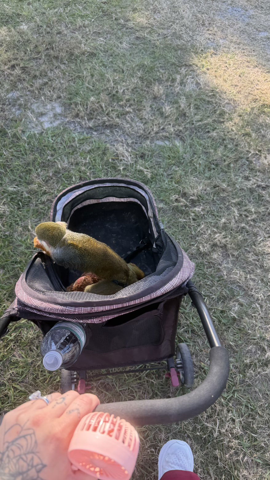 kkierstenking snapchat image archive image