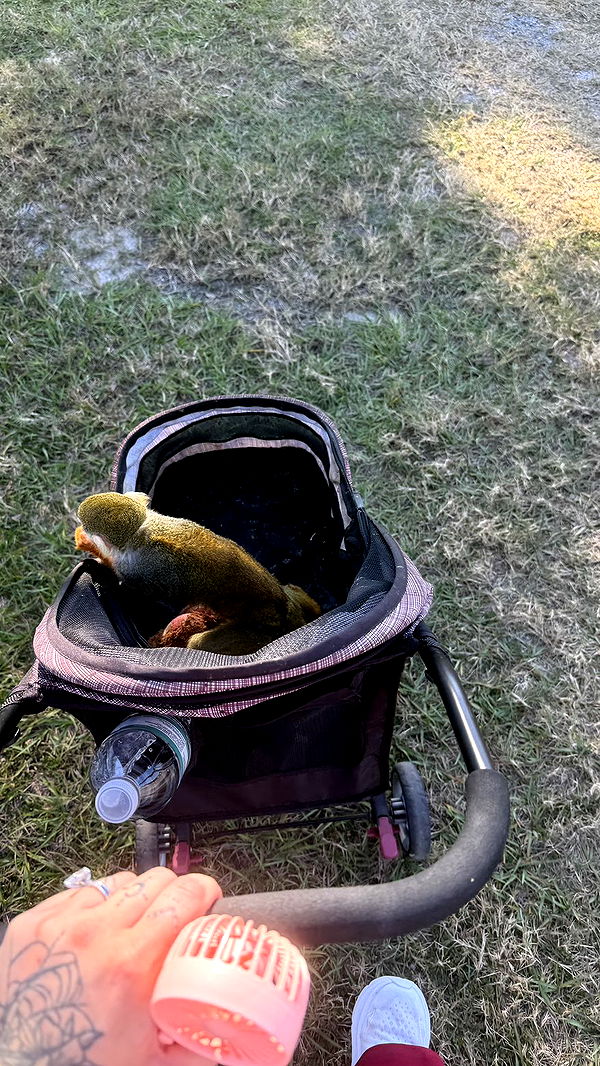 kkierstenking image ~ Altpins