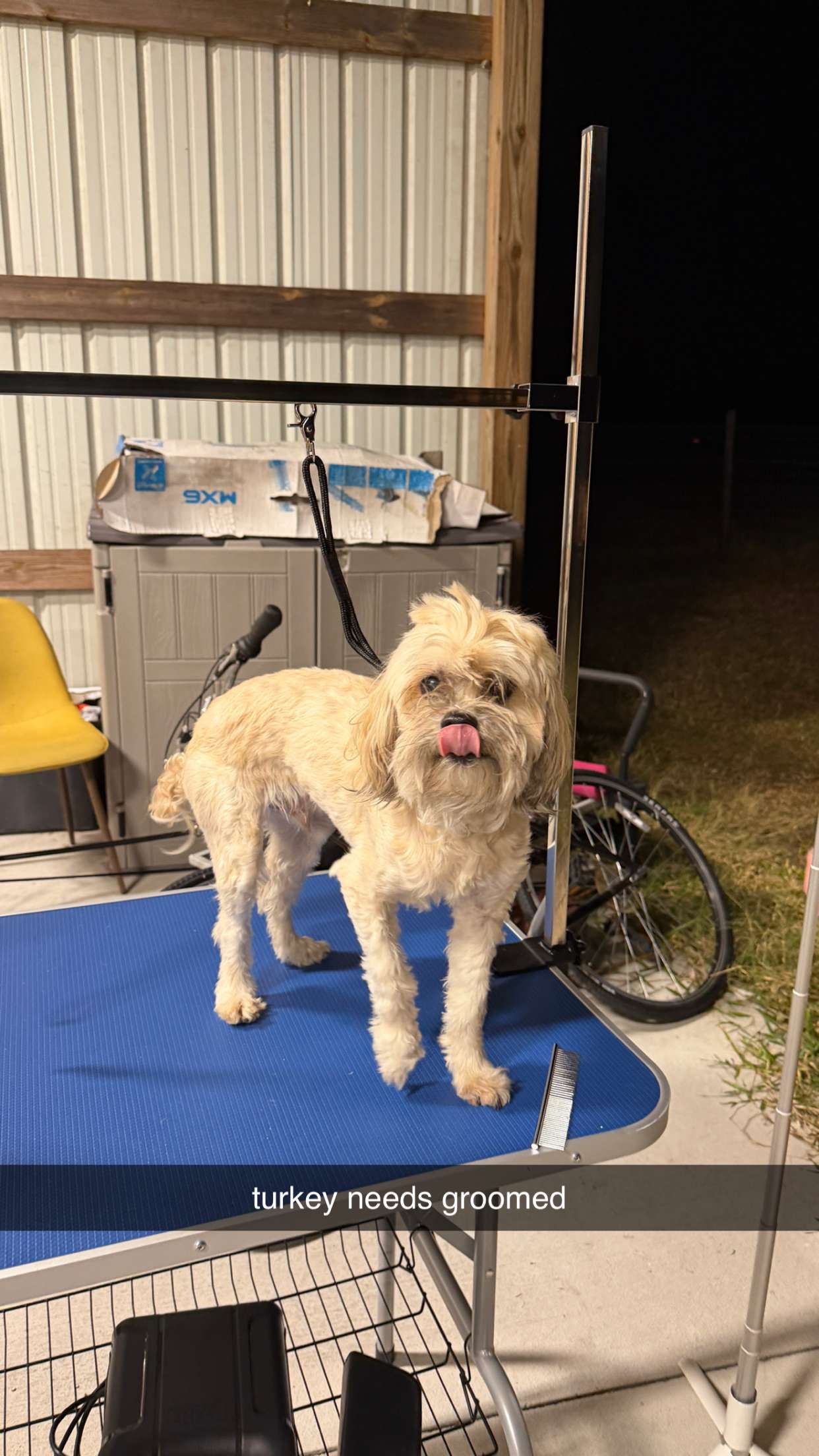 kkierstenking snapchat image archive image