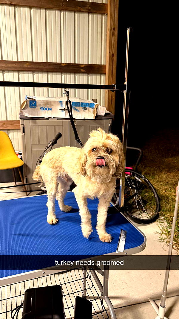 kkierstenking image ~ Altpins