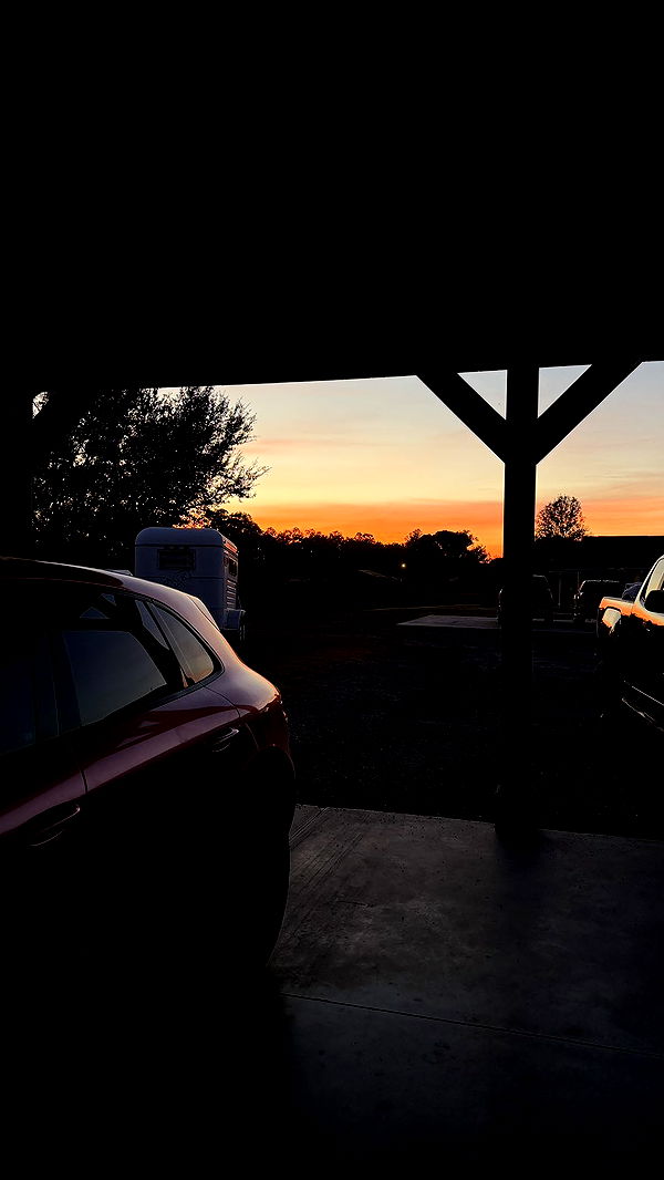 kkierstenking image ~ Altpins