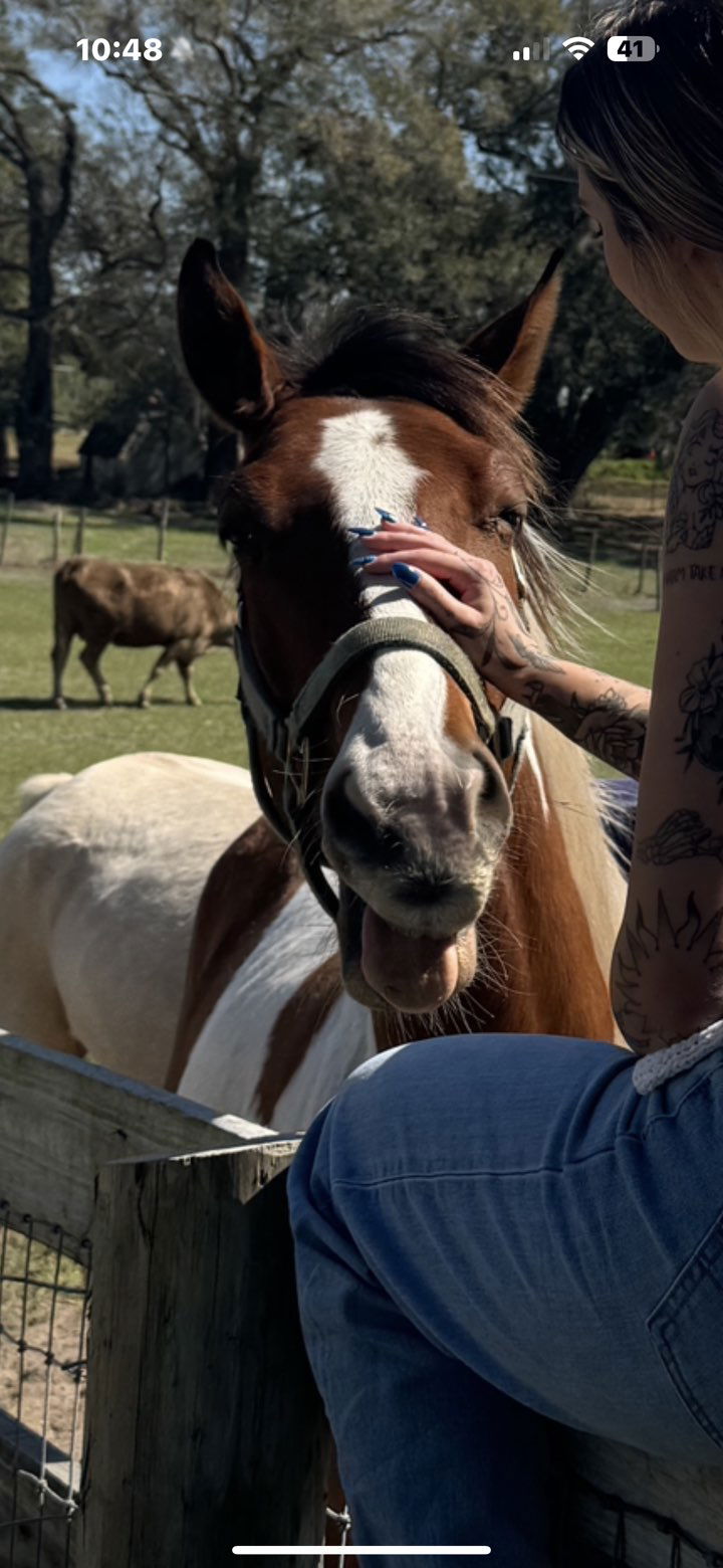 kkierstenking snapchat image archive image