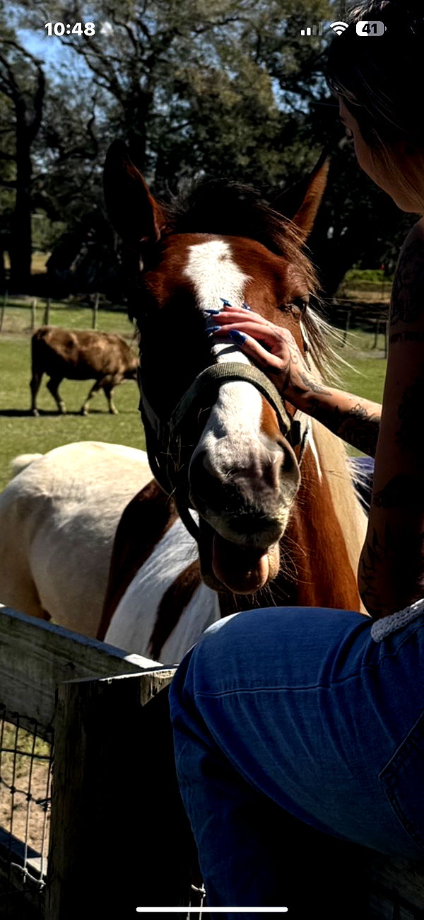 kkierstenking image ~ Altpins