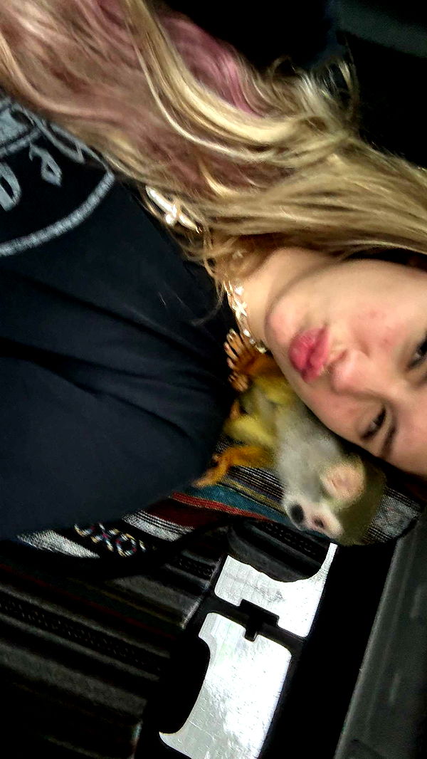 kkierstenking image ~ Altpins