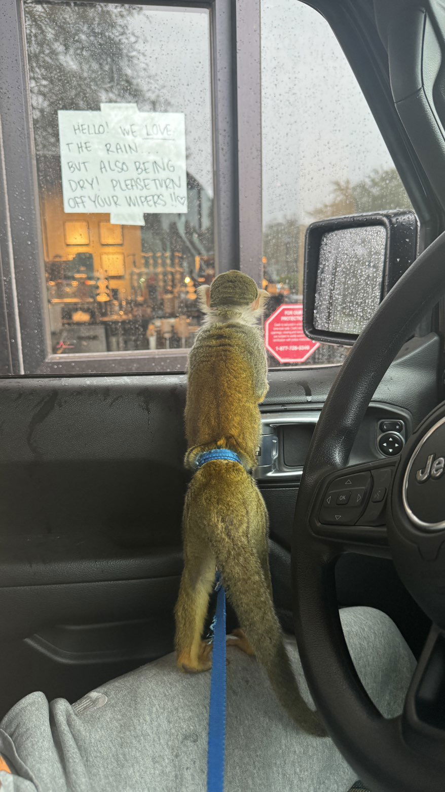 kkierstenking snapchat image archive image