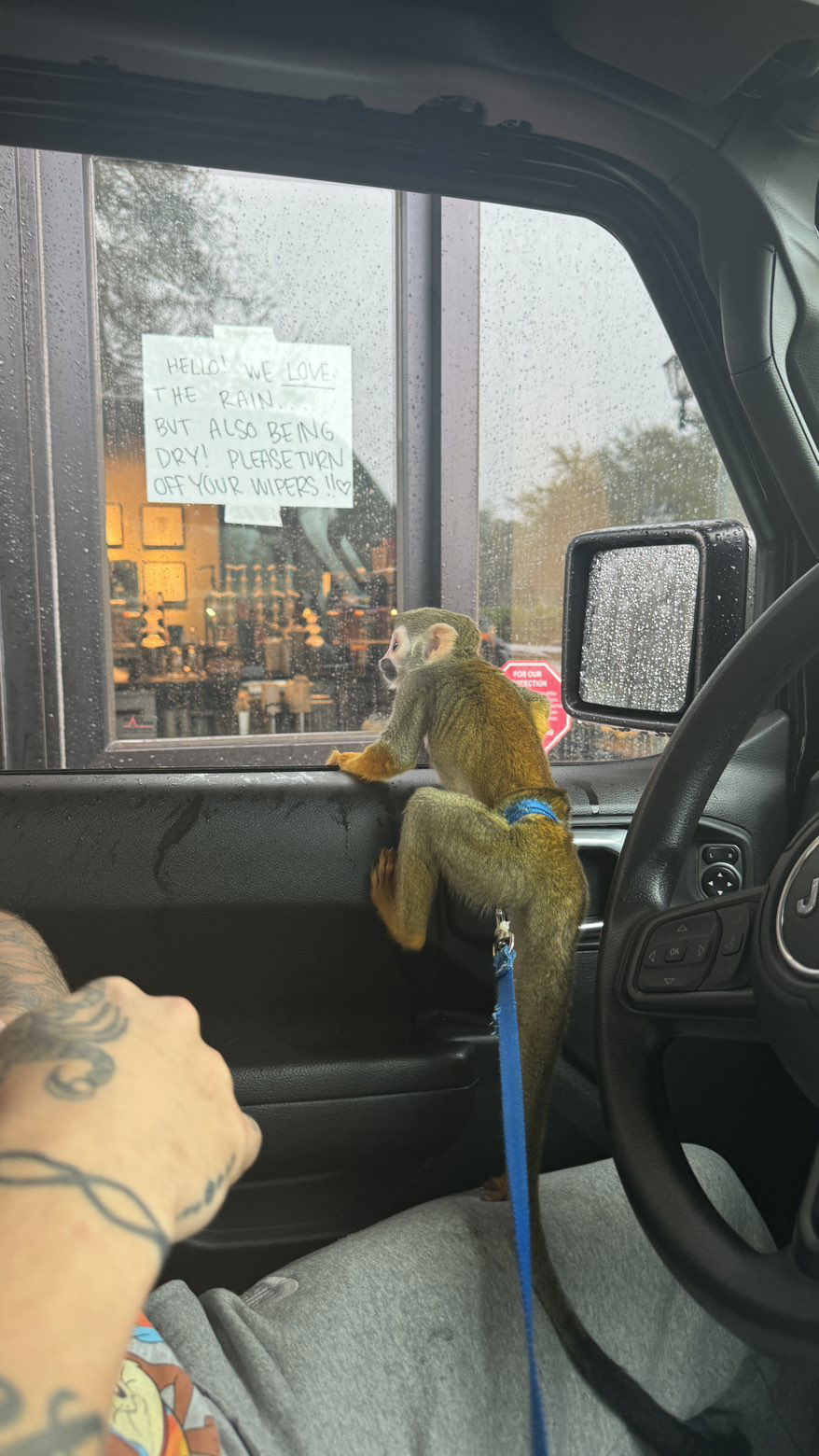 kkierstenking snapchat image archive image