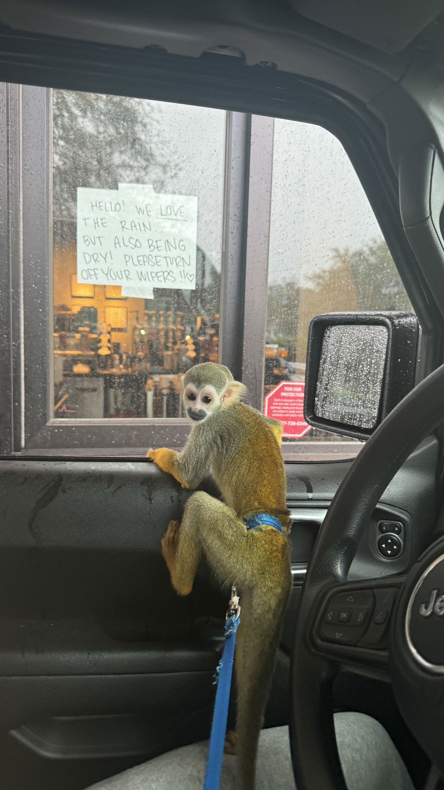 kkierstenking snapchat image archive image