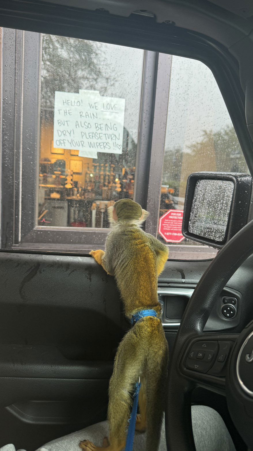 kkierstenking snapchat image archive image