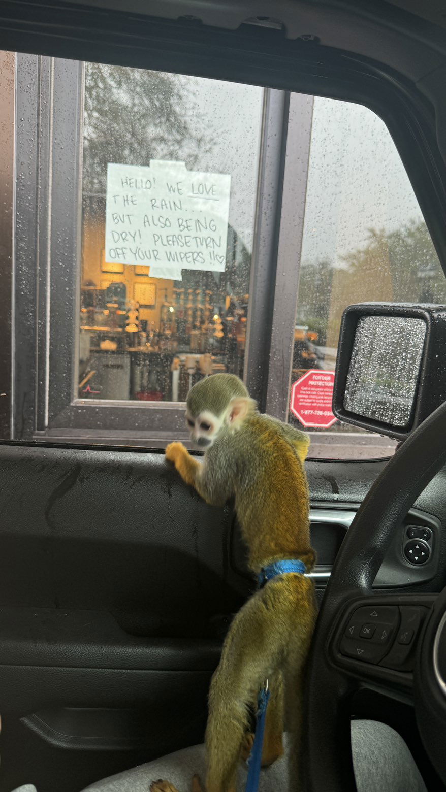 kkierstenking snapchat image archive image