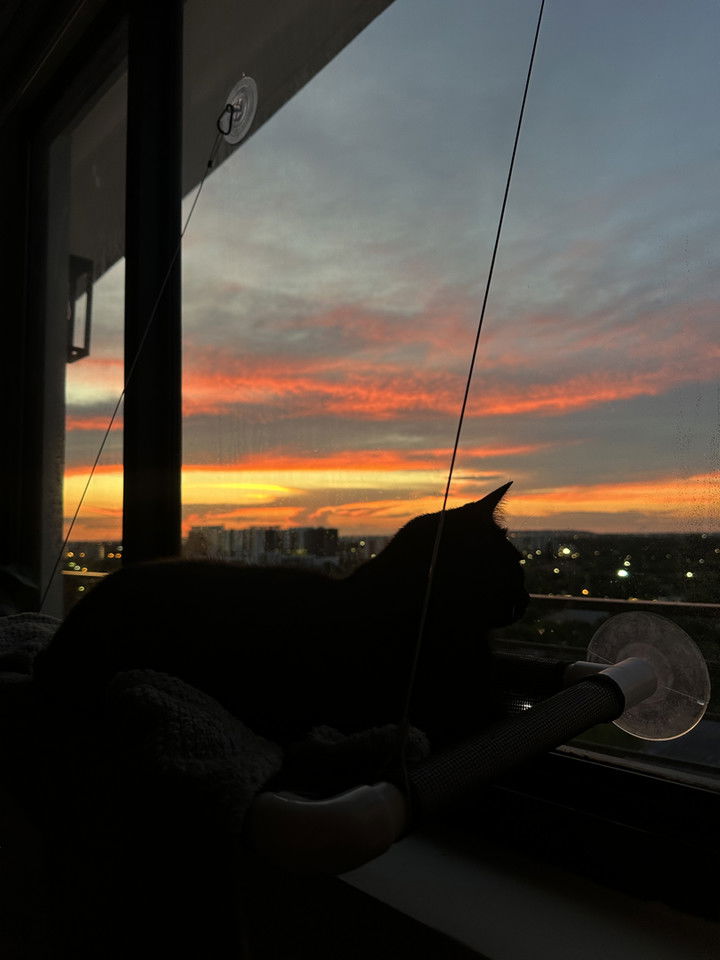 kydoddss snapchat image archive image