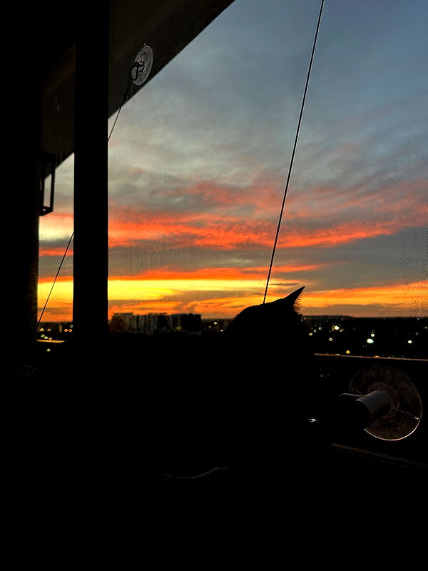 kydoddss image ~ Altpins