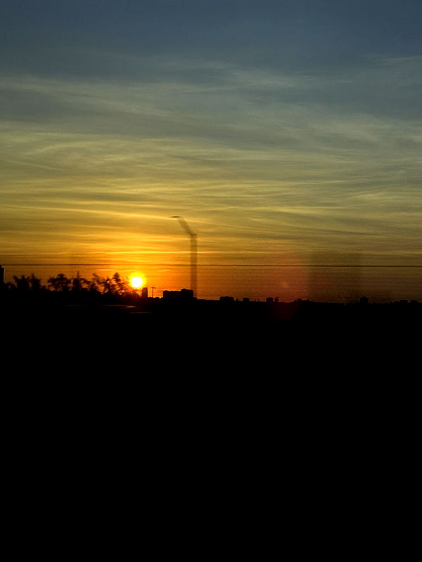 kydoddss image ~ Altpins