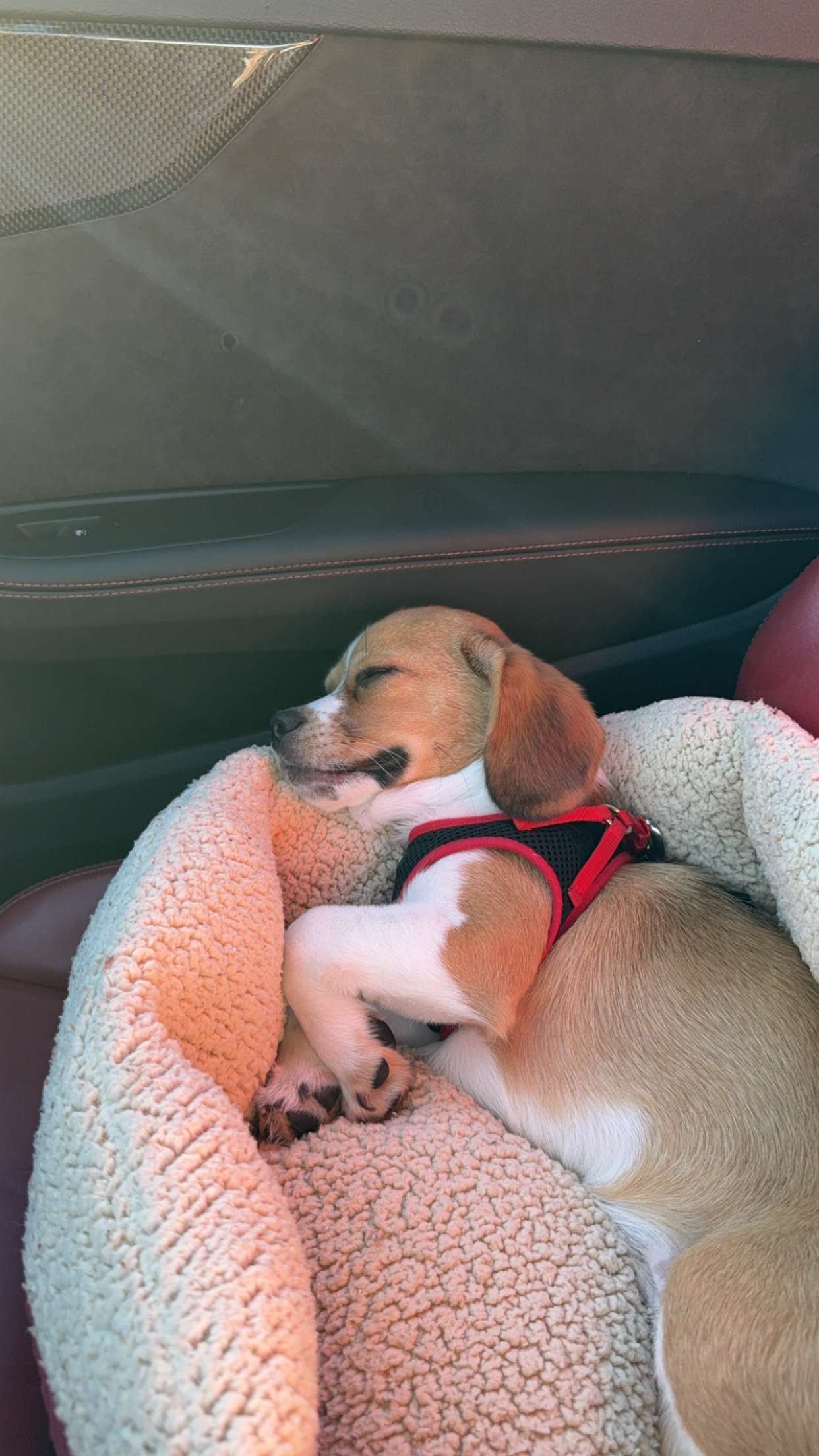 kydoddss snapchat image archive image