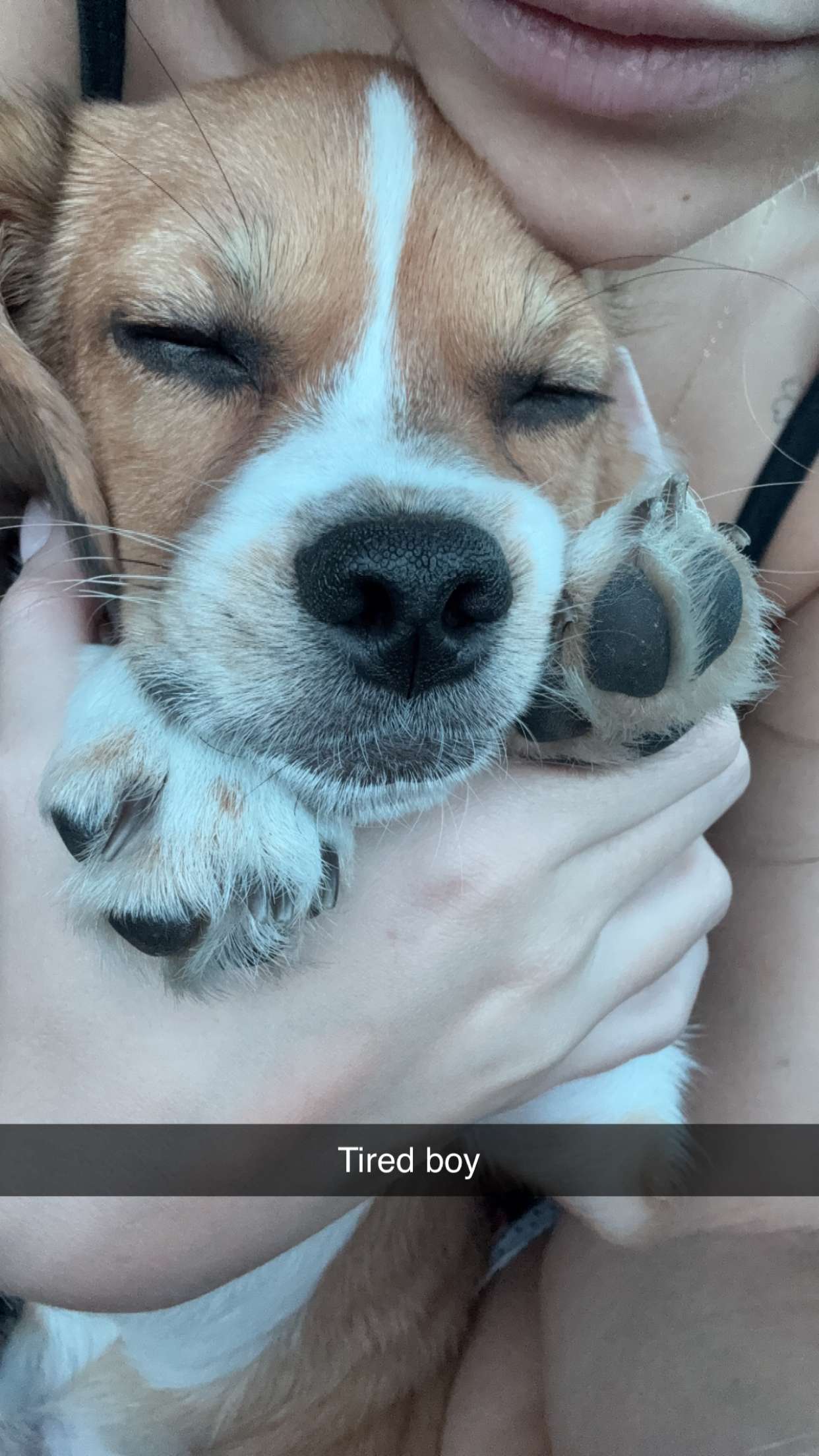 kydoddss snapchat image archive image