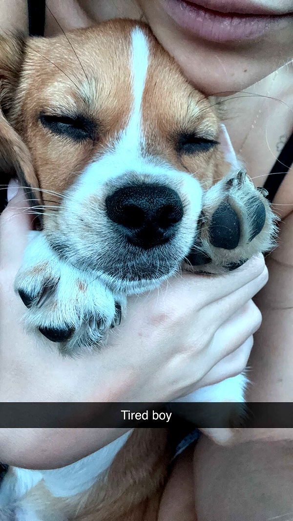 kydoddss image ~ Altpins