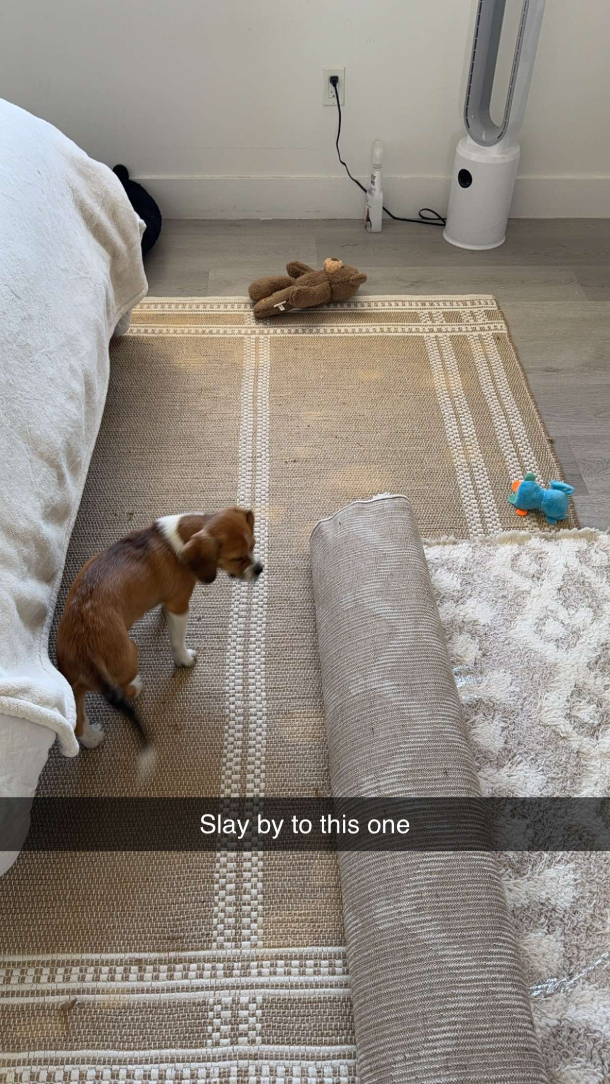 kydoddss snapchat image archive image