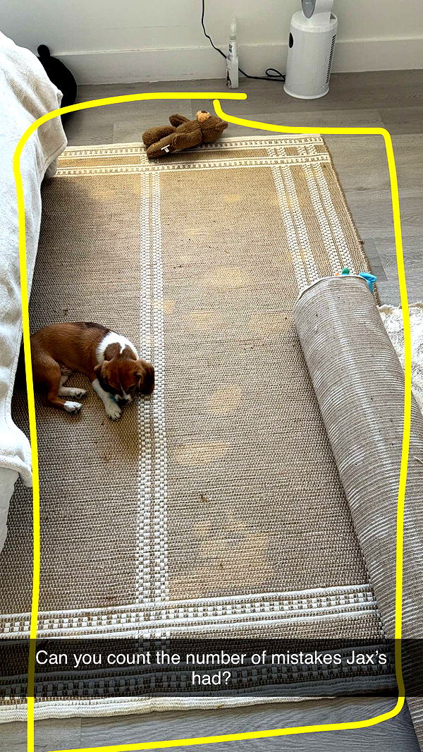 kydoddss image ~ Altpins