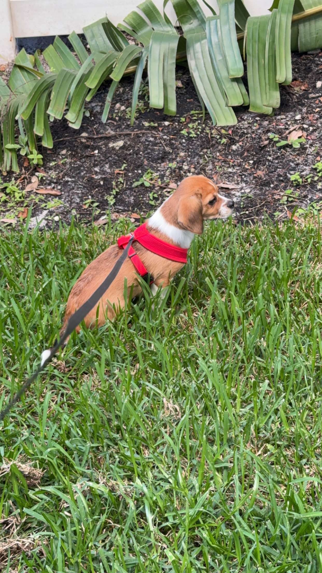 kydoddss snapchat image archive image