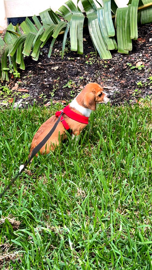 kydoddss image ~ Altpins