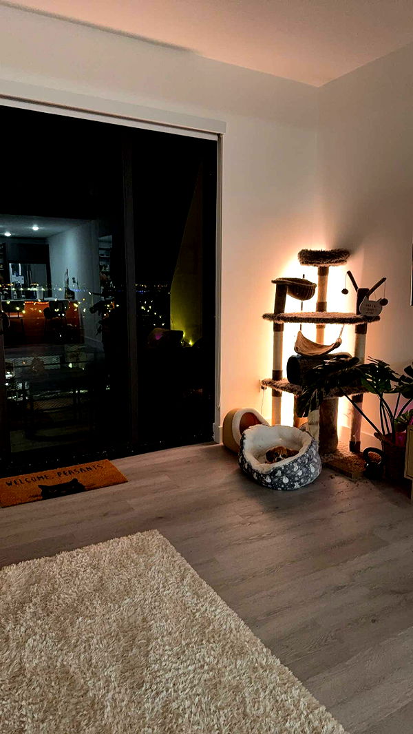 kydoddss image ~ Altpins