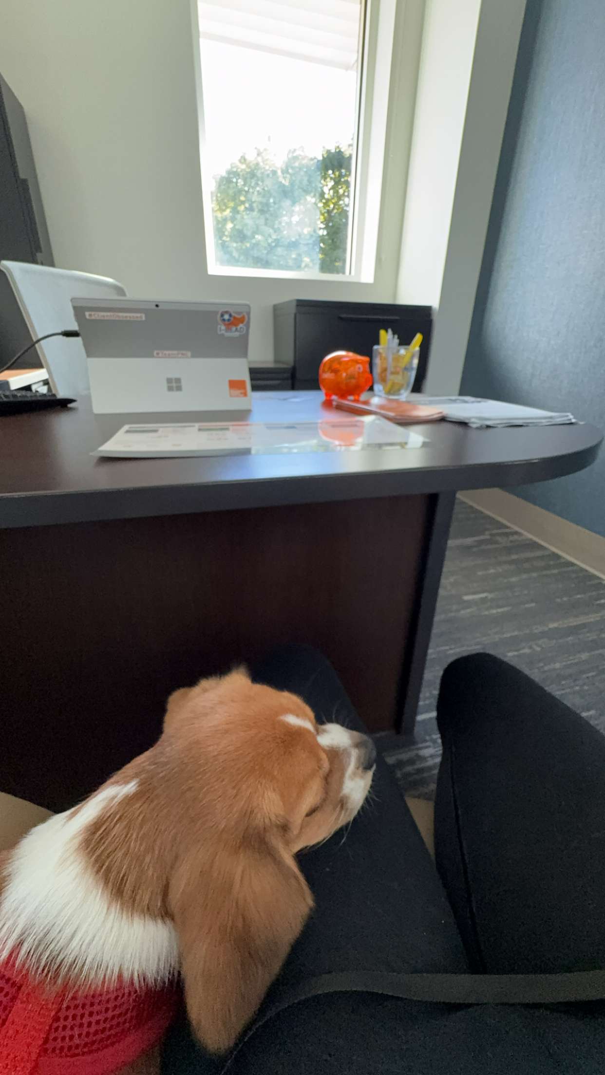 kydoddss snapchat image archive image