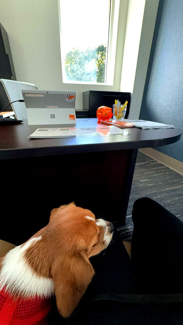 kydoddss image ~ Altpins