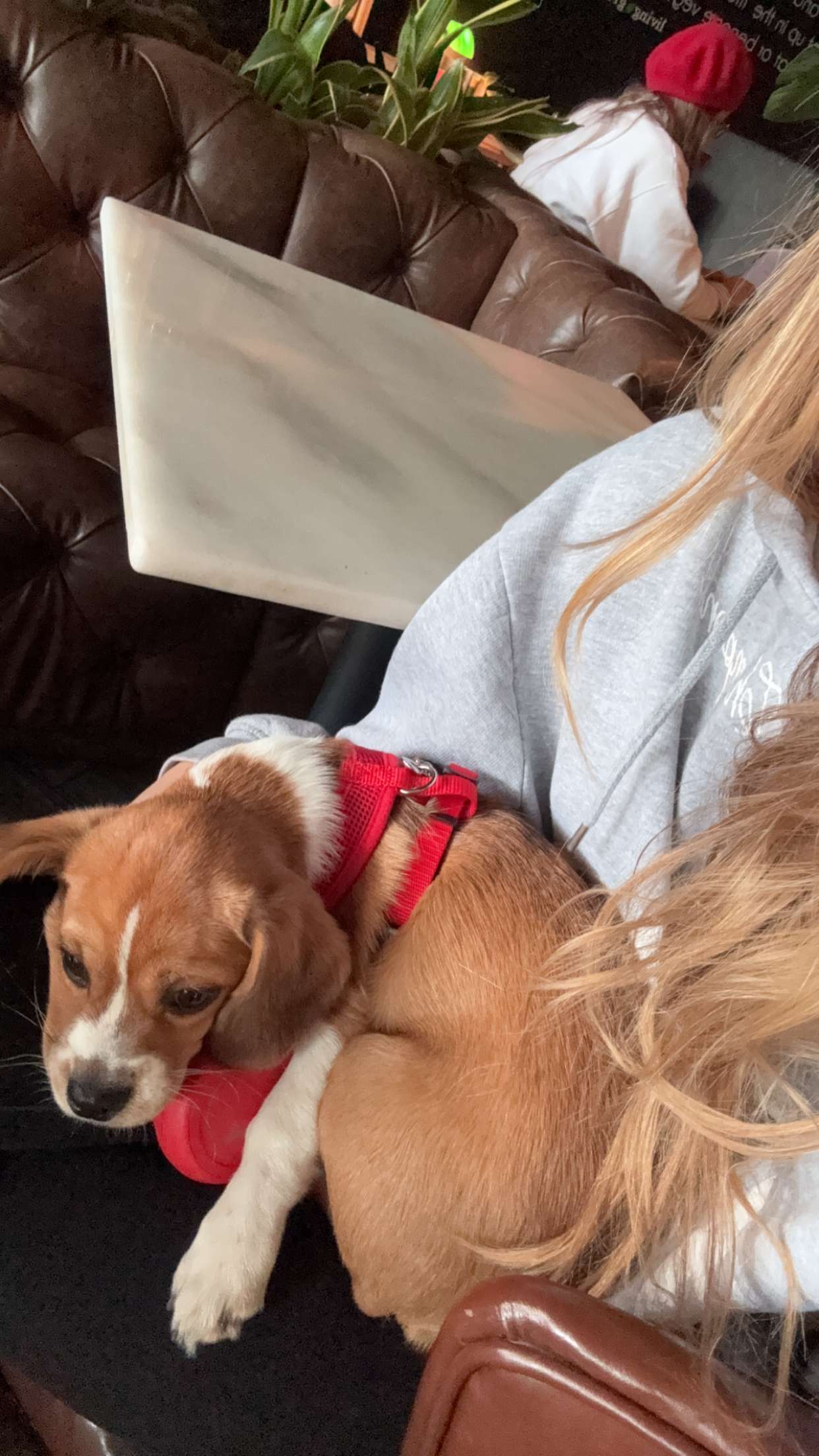 kydoddss snapchat image archive image