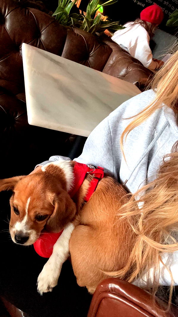 kydoddss image ~ Altpins